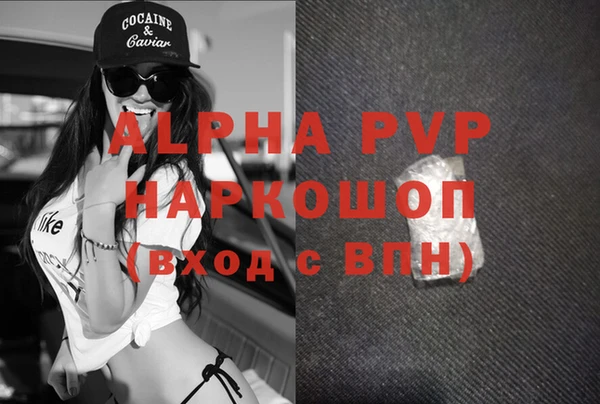 PSILOCYBIN Ессентукская