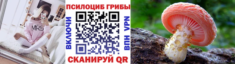 где продают наркотики  Вичуга  Псилоцибиновые грибы прущие грибы 