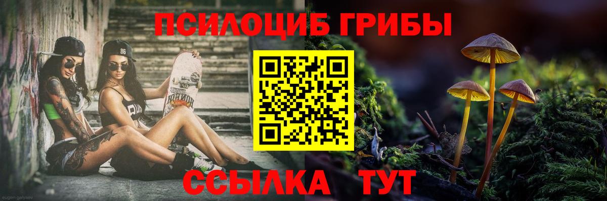 Галлюциногенные грибы прущие грибы Вичуга