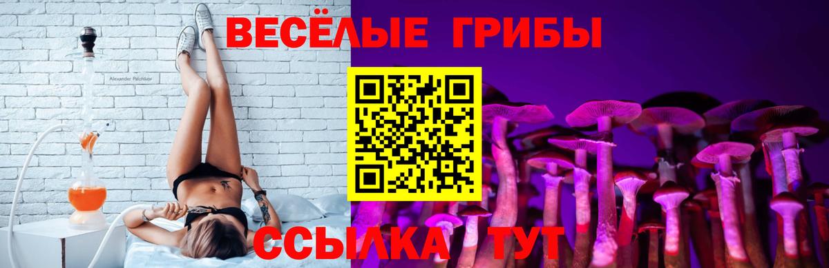 Галлюциногенные грибы Cubensis  Вход с VPN  Вичуга 