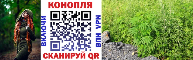Шишки марихуана тримм  Вичуга 